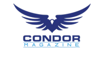 Inicio condor.net removebg preview